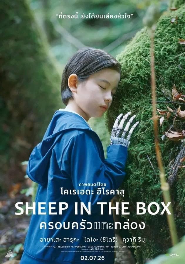 Sheep in the Box poster